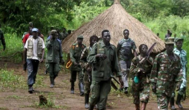 RDC – Ituri : Plus de 20 corps des civils tués par les ADF gisent au sol à Irumu